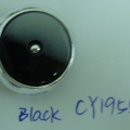 CY1955