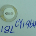 CY1964