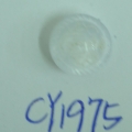 CY1975