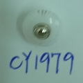 CY1979
