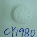 CY1980