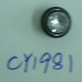 CY1981