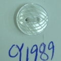 CY1989