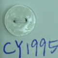 CY1995