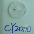 CY2000