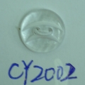 CY2002