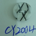 CY2004