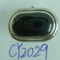 CY2029