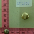 CY2100