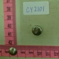 CY2101