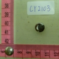 CY2103