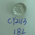 CY2113