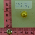 CY2137