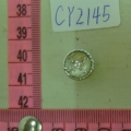 CY2145