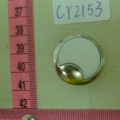 CY2153