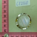 CY2160