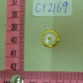 CY2169