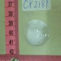 CY2181