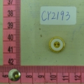 CY2193