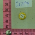 CY2194