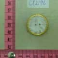 CY2196