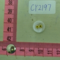 CY2197