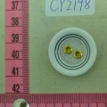 CY2198