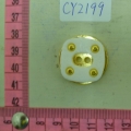CY2199