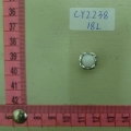 CY2238