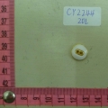 CY2244