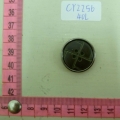 CY2256