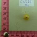 CY2273