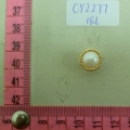 CY2277