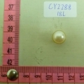 CY2288