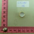CY2290
