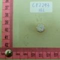 CY2293