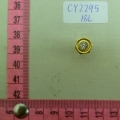 CY2295