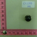 CY2299