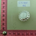 CY2300