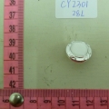 CY2301