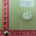 CY2304