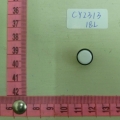 CY2313