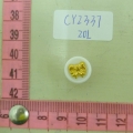 CY2337