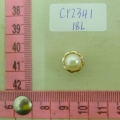 CY2341