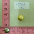 CY2361