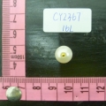 CY2367