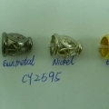 CY2595