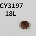 CY3197