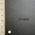 CY3665