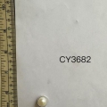 CY3682